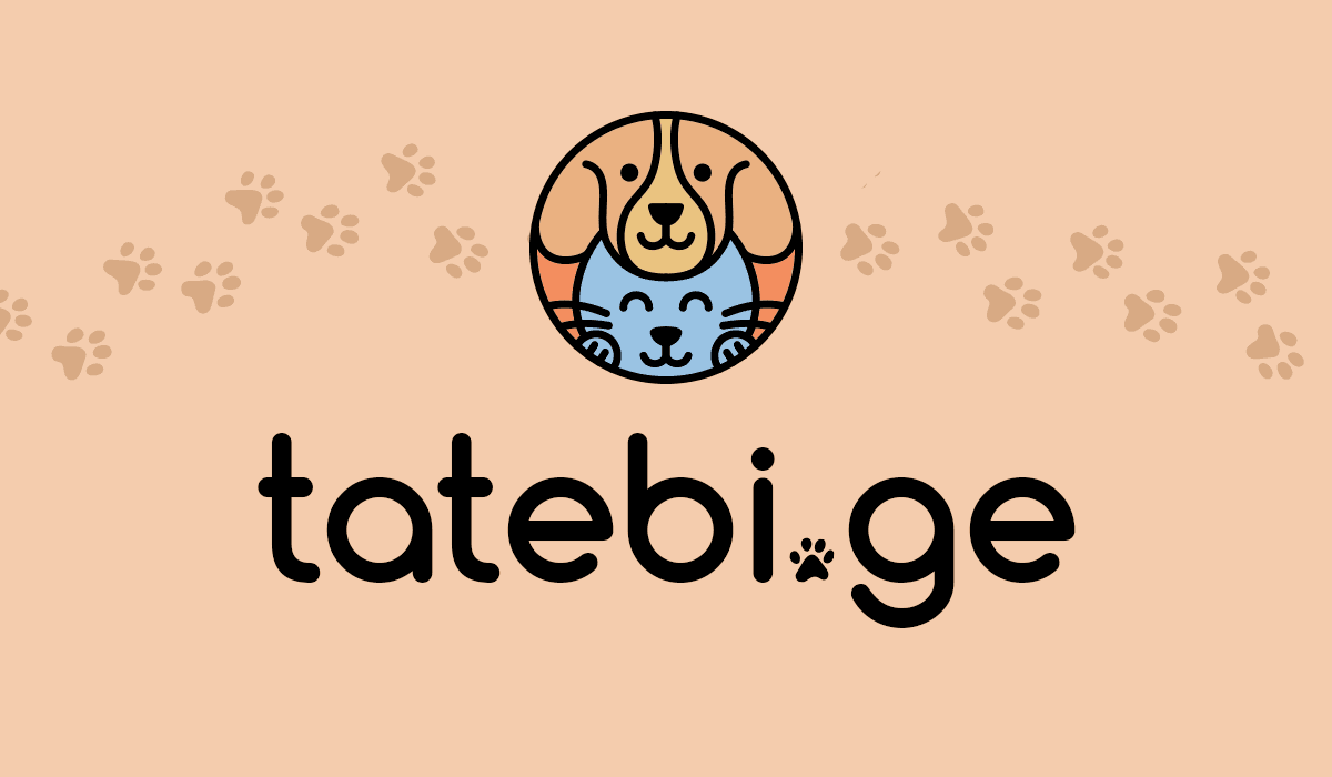 tatebi.ge
