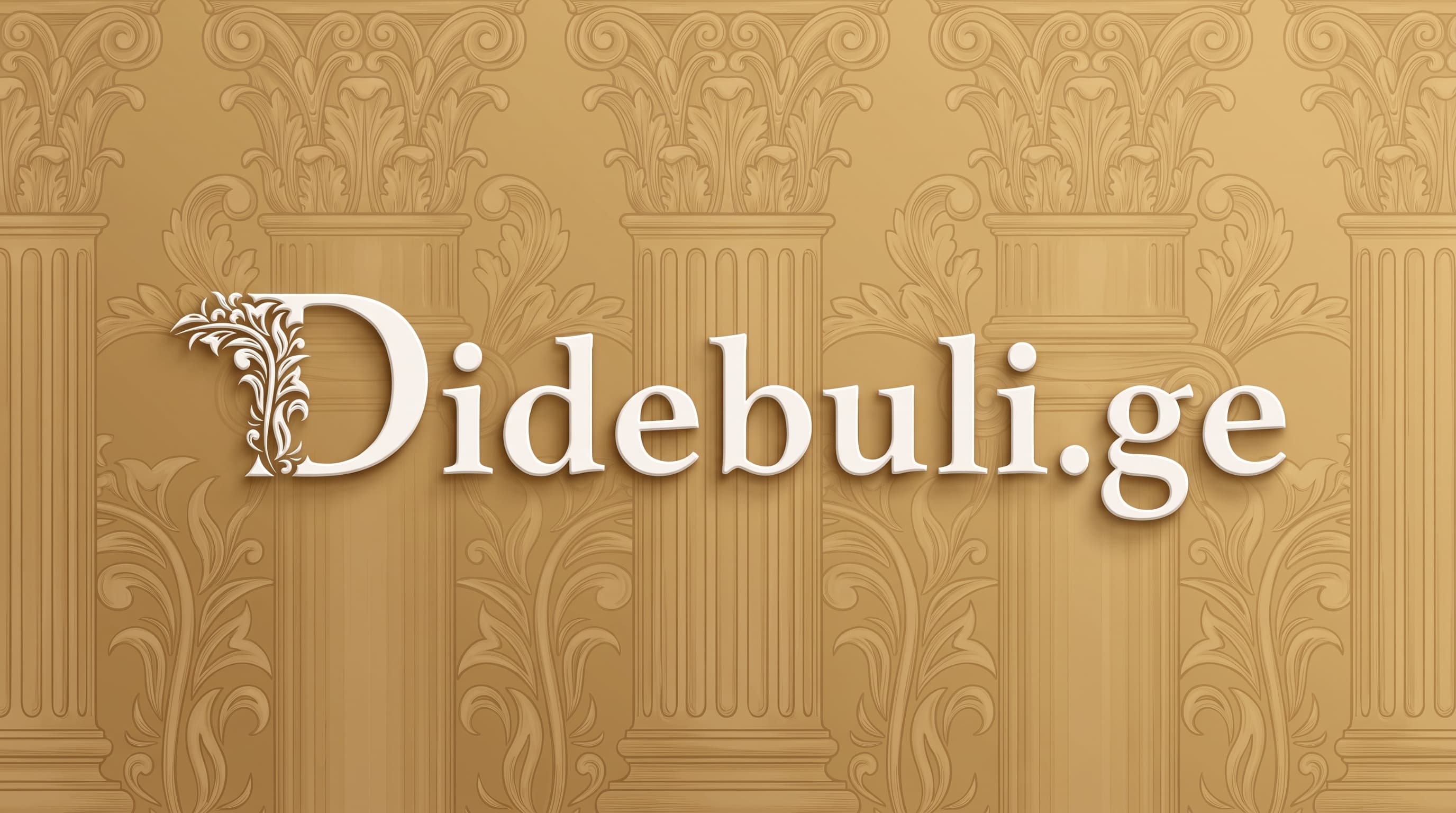 didebuli.ge logo