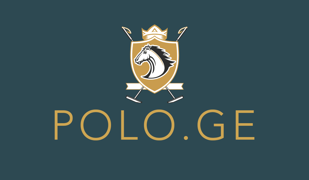 polo.ge logo