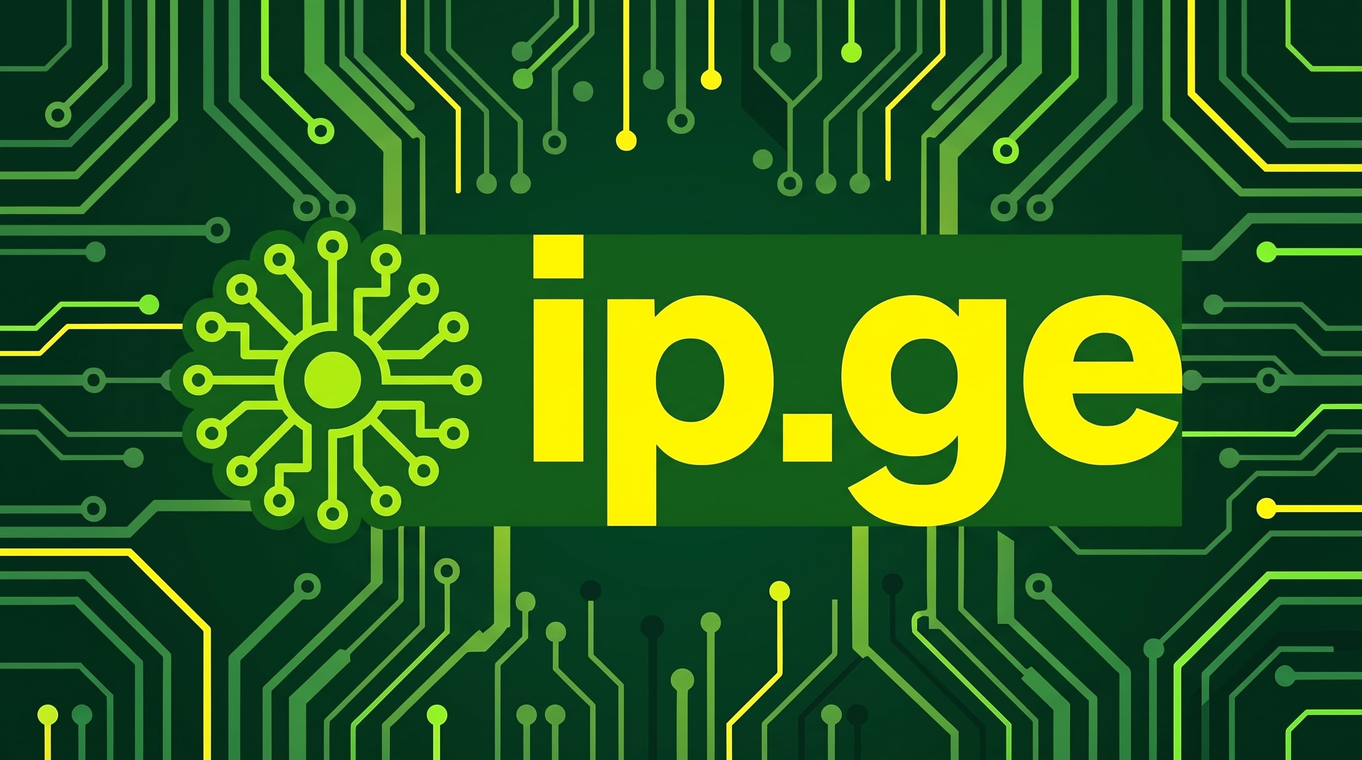 ip.ge logo